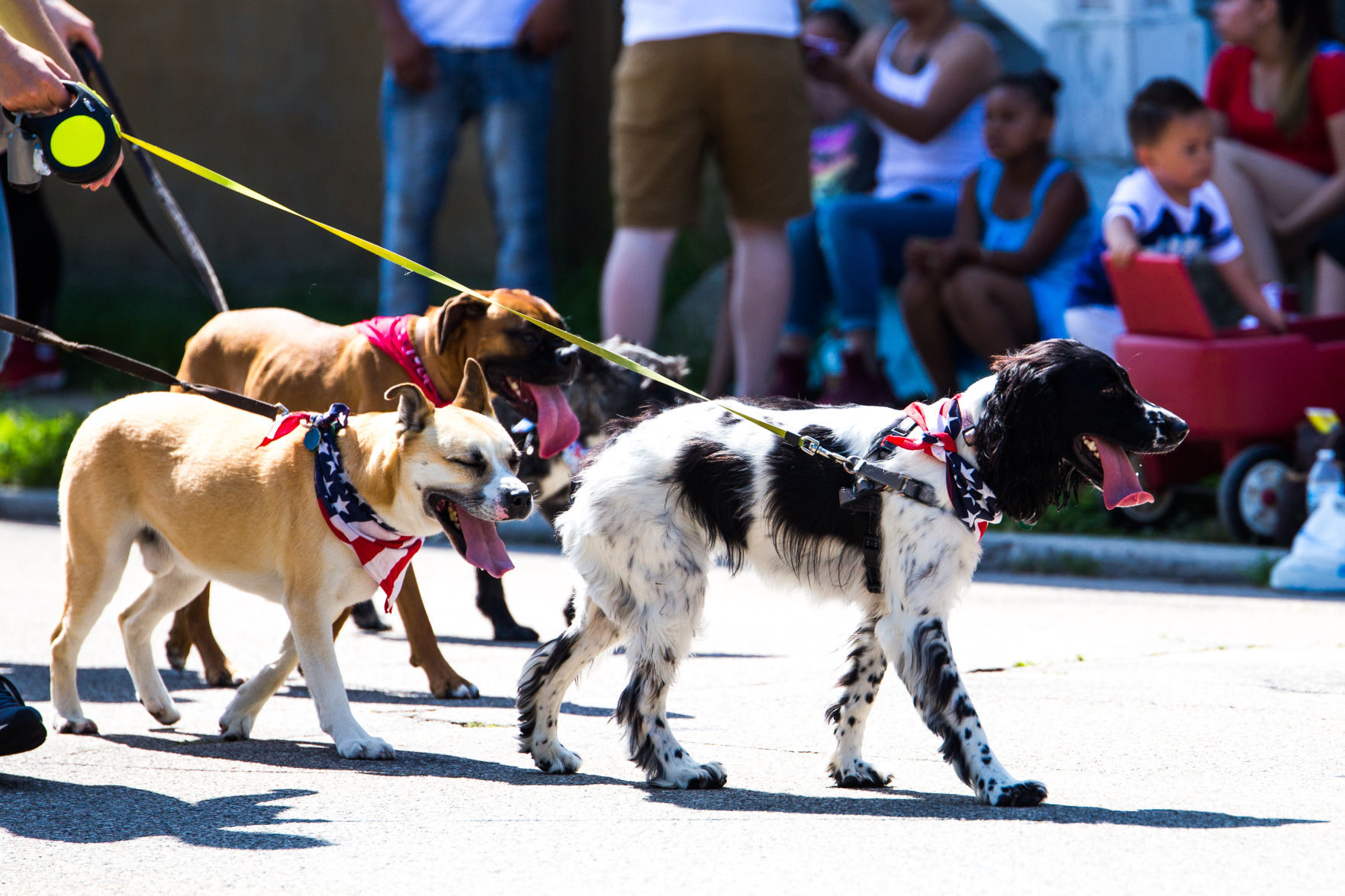 Racine 4th of July Parade